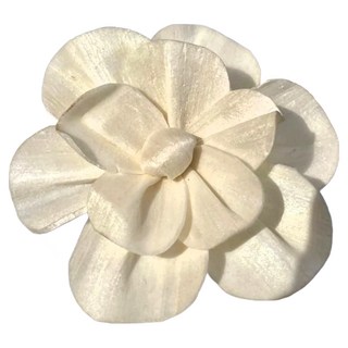 6.5cm康乃馨索拉花10入, 象白