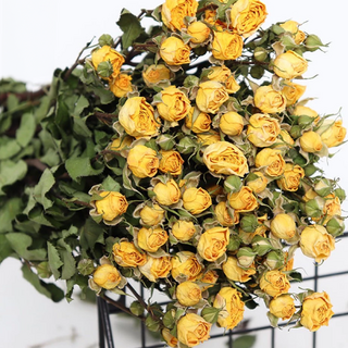 HONGHE 多頭玫瑰 30朵 天然乾燥花, 夢幻芭比