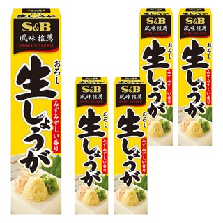 S&B 愛思必 生薑醬 40g 日式料理調味醬料 增添風味 去除腥味, 5個