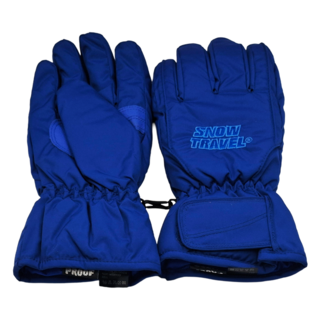 SNOW TRAVEL 雪之旅AR-ONE英國TPU防水套白鵝羽絨700fill保暖滑雪手套, 藍色, L
