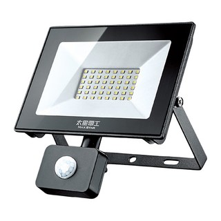 MAX STAR 太星電工 太星電工 LED感應投射燈 30W 110~220V, 1個