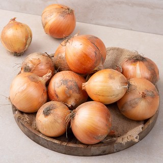 국내산 유기농 양파, 3kg, 1개