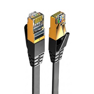 DTAudio 10M Cat.7 高速網路線/網路線/高速網路線/分享器/數據機/機上盒, 黑色, 1條