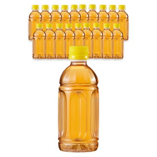 곰곰 옥수수수염차 무라벨, 340ml, 20개