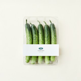 프리미엄 백오이, 100g, 1개입, 5개