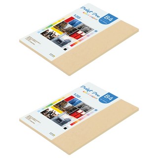 paperculture Print Pro 薄彩色影印紙 No 03 米色 120g, 110個, B4