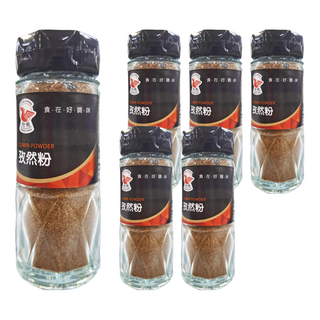 飛馬 新疆孜然粉 藏茴香, 特殊香氣 口感濃烈, 35g, 6瓶