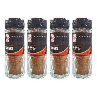 飛馬 新疆孜然粉 特殊香氣 口感濃烈, 35g, 4瓶