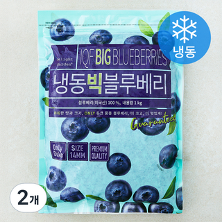 딜라잇가든 미국산 빅 블루베리 (냉동), 2개, 1kg