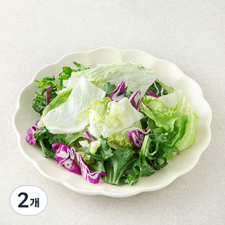 데일리 베이직 믹스 파우치 샐러드 채소, 80g, 2개, 1개입