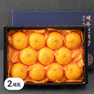 귤탐 당도선별 천혜향 선물세트, 2.8kg(8~12과), 2세트