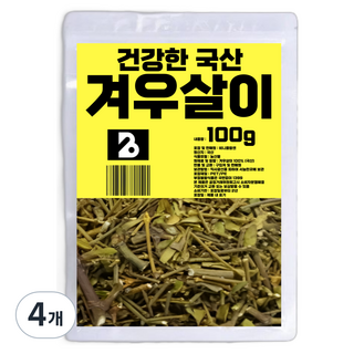 비니플랑센 건강한 국산 겨우살이, 100g, 4개