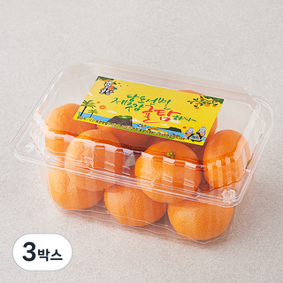 귤탐 당도선별 11brix 감귤, 800g(소과), 3개