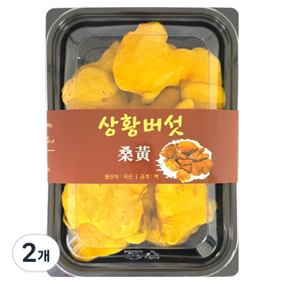 MOMAEJOWHA 桑黃蘑菇, 2個, 70g