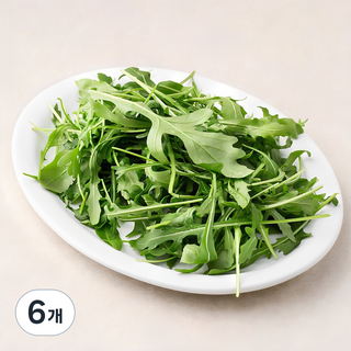 국내산 와일드 루꼴라, 100g, 6개