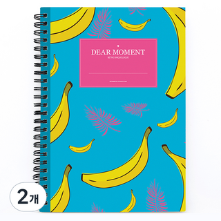 제이로그 다이어트 식단 플래너, 바나나야자수, 2개