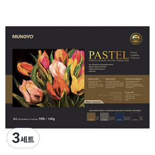 문교 파스텔 전용지 다크색 4종 세트 160g, A4, 30매, 3세트