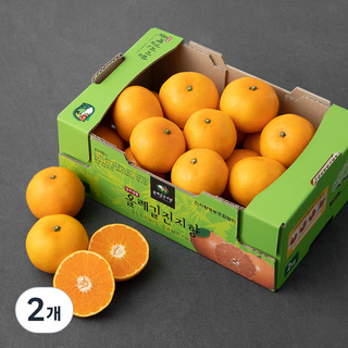 올레길감귤 당도선별 진지향, 2kg, 2개