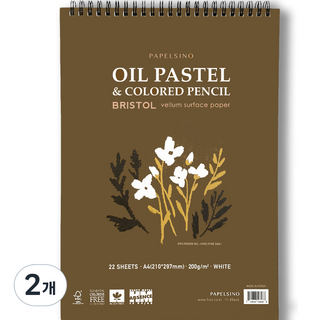 파펠시노 오일파스텔 색연필전용 종이 스케치북 브리스톨지 스프링형, A4, 22매, 2개