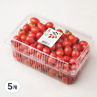 광식이 농장 GAP 인증 미니대추토마토, 1.5kg, 5팩