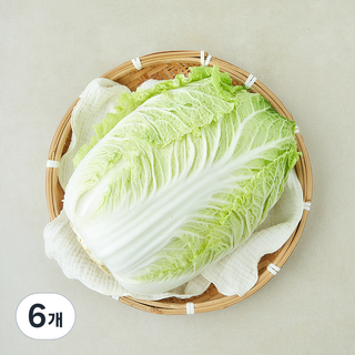 중국산 신선배추, 2kg, 6개, 1개입