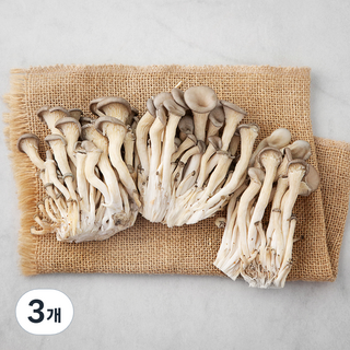 국내산 친환경 느타리버섯, 200g, 3개