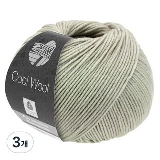 라나그로사 쿨 울 뜨개실, 2106 Graubeige, 3개