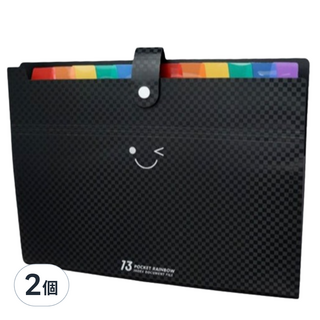 Aster 13格風琴文件整理夾, 黑色, 2個