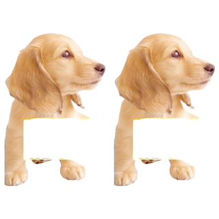 Mores 摩爾思 滿意狗狗寵物尿墊 茉莉花香味, 100片, 2包