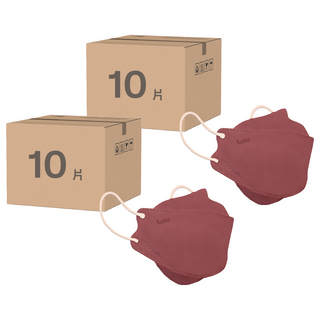 fuder 福德好罩 成人立體醫療級拋棄式/耳掛式三層過濾口罩, 10片, 2盒, 灰玫紅