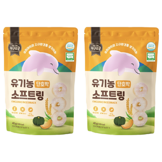 Jiguroun 韓國糙米米圈, 40g, 2個, 南瓜