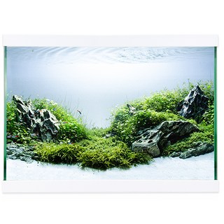 Mobydick 36 纖薄 現代 魚缸 + 蓋子, 1組, 白色的