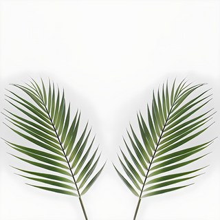 Blooming&Me 仿真散尾葵, 2入, 綠色