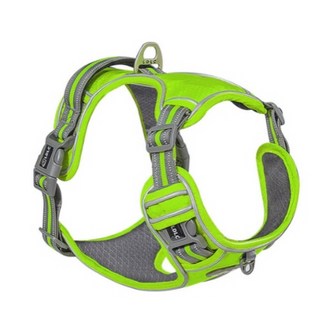 비제스코 강아지 야간 산책 가슴 하네스 VIB-23, 그린, 1개