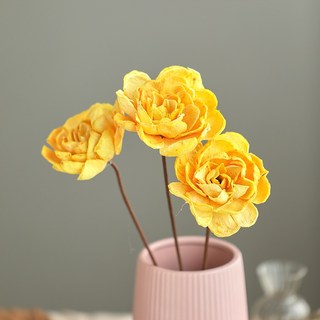 GAPANG 玫瑰乾燥花 DRYB136, 02號 黃色