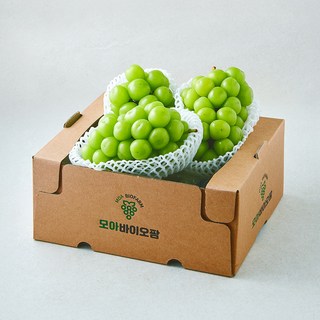 모아바이오팜 당도선별 샤인머스캣 2~4송이, 1개, 2kg