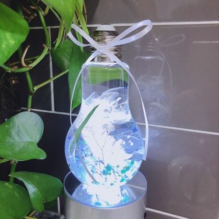 永生花 浮游花 燈泡 + 底座 套組, 藍色