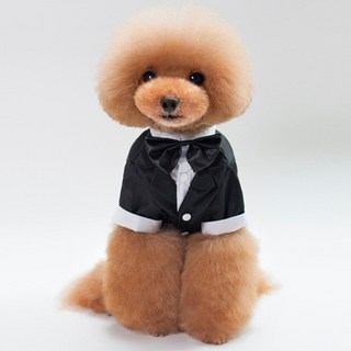 Wavy Days 寵物 Ruta 領結西裝燕尾服, 黑色, 1個