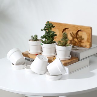 Rian 室內裝飾多肉植物盆栽 3入 + 陶瓷盆栽底盤 3入 + 3孔木製底座組合, 花盆(白色), 木製底座(木質)