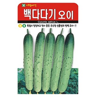 아람종묘 백다다기 오이 씨앗 50p, 1개