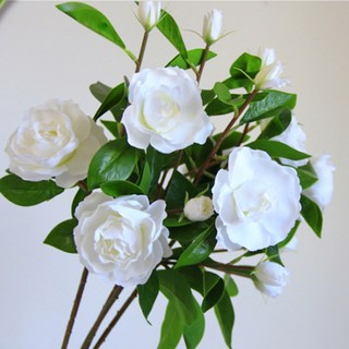 Minseong Company 人造梔子花 2入, 白色, 2個