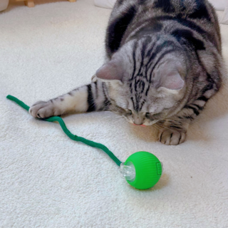 MAAH 고양이 혼자노는 자동 스마트 볼 장난감 로프 SCB-01, 그린, 1개