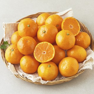 제이드가든 감귤 로열과, 1개, 1.5kg