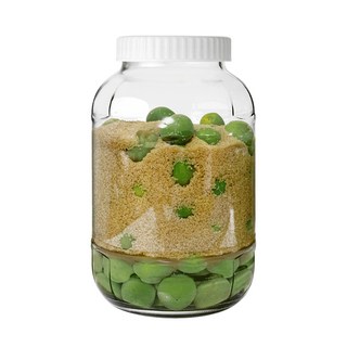 Gyeong Seong Living Tech 水果釀酒瓶 隨機出貨, 5L, 1個