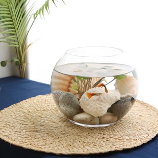 SAMHOGLASS 多用途玻璃圓形魚缸 SHB3, 透明色, 1個