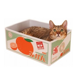 스크래처 박스 평판형, 귤, 1개