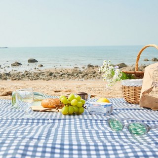 ARPEGGIO BASIC 感性防水野餐墊, 木紋格紋海軍藍