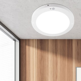 Wonha DS LED Luda 無頻閃圓形直下式感應燈 18W 22cm, 1個, 白色 + 白光