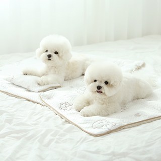 이츠독 반려동물용 포르페 쿨링 매트, 혼합색상, 1개