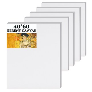 Verniart 棉布畫布 美術畫板 40 x 60 cm, 5個